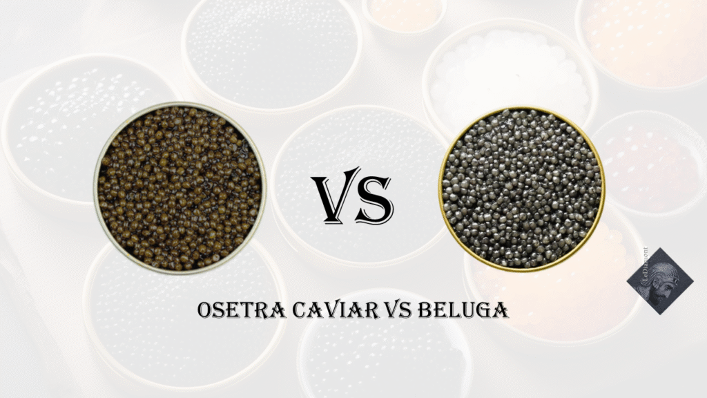 osetra caviar vs beluga