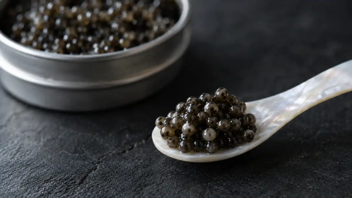 Gros plan sur des perles de caviar Beluga sur une cuillère en nacre, boîte de 30 g ouverte en arrière-plan