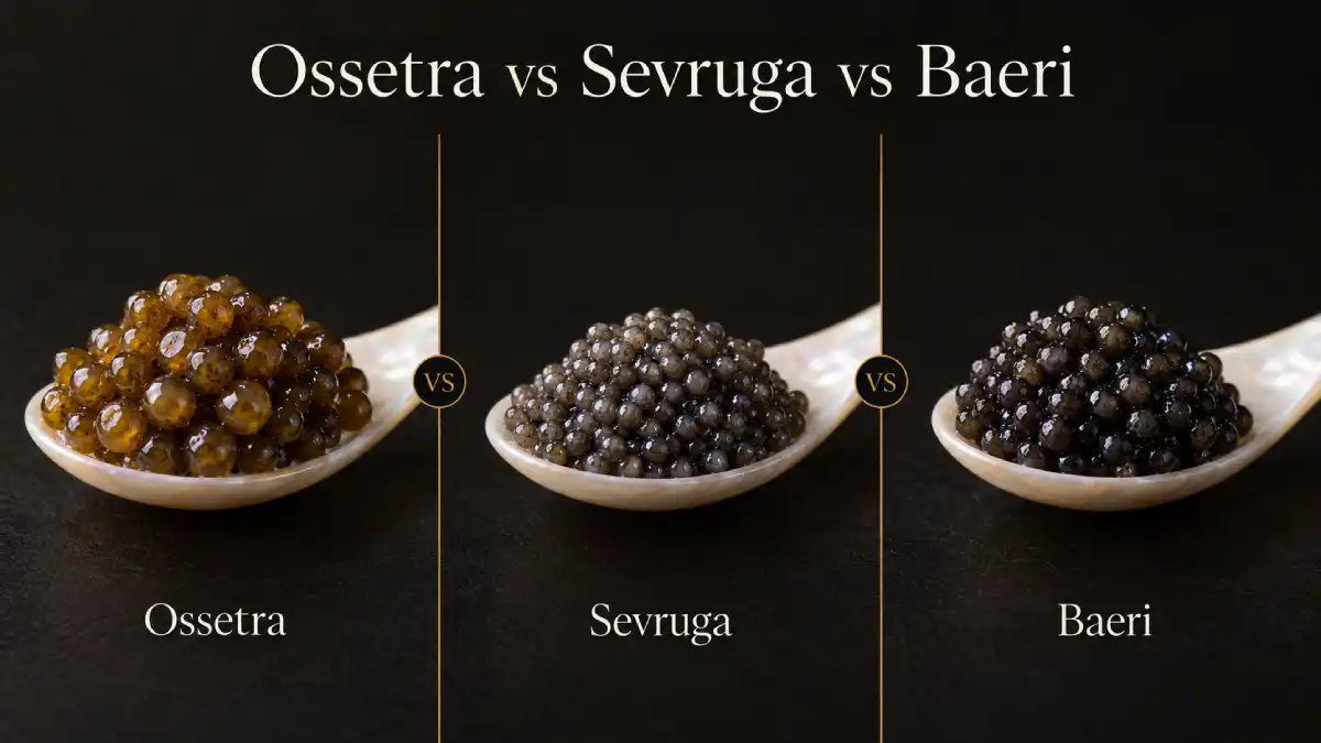 Ossetra vs Sevruga vs Baeri caviar compared side by side: pearl size, colour and taste